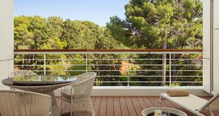 Deluxe Park Side Balcony