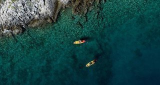 Kayak