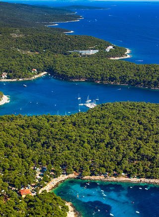 Čikat bay