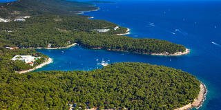 Čikat bay