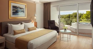 Luxury suite
