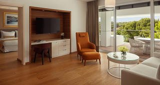 Luxury suite