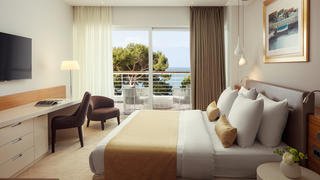 Bellevue suite