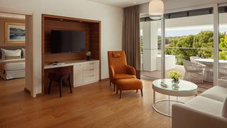 Luxury suite