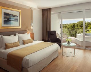 Hotel Bellevue, Luxury Suite