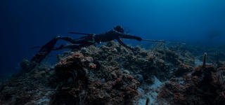 64th New Years Spearfishing Cup