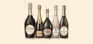 WEB Champaign