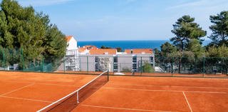 Tenis web