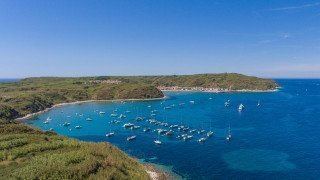 Susak