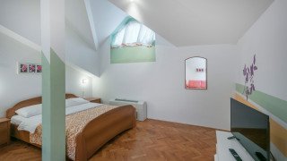 tulipa 2