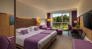 Rooms & Suites