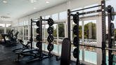 Fitness Vespera