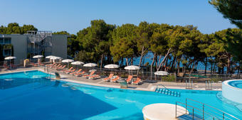 Vespera bazen dron 1