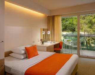 Room for disabled Vespera